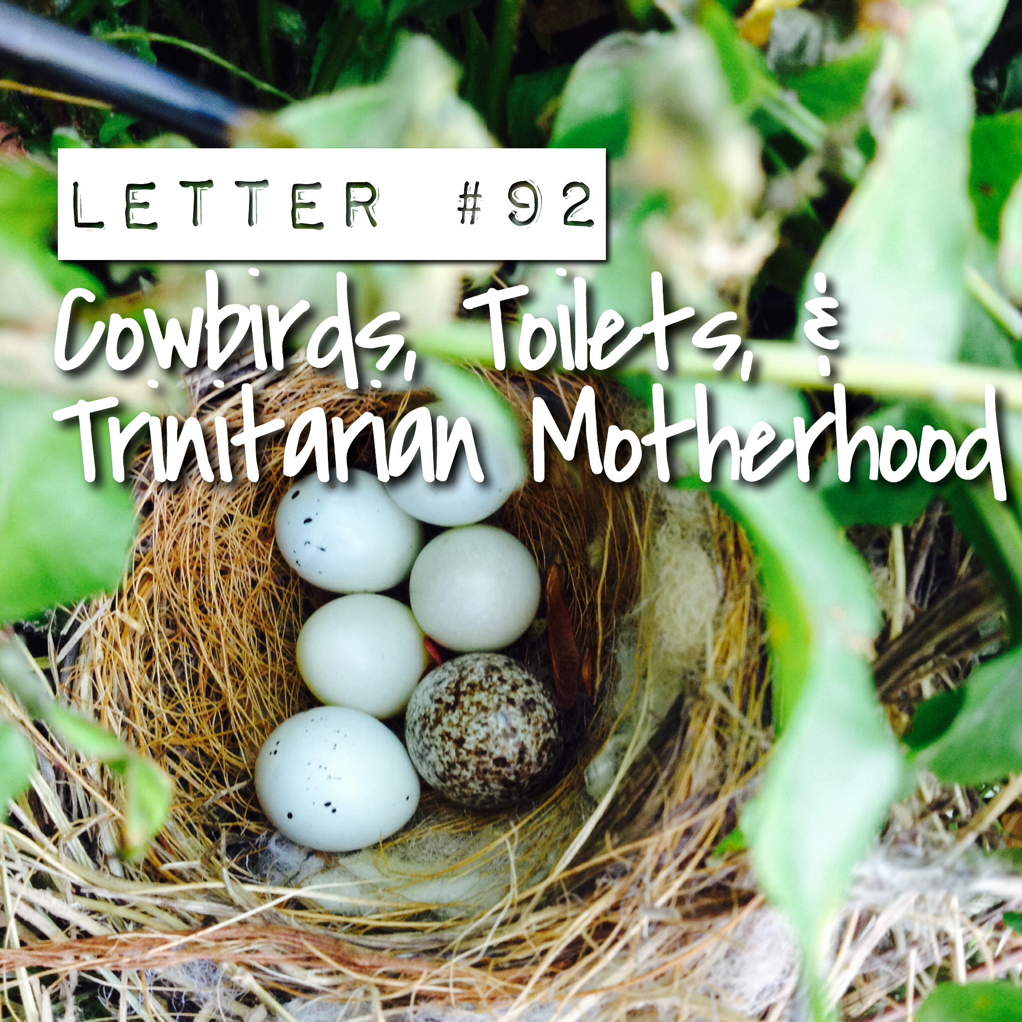 B44F5F65-ECFD-417A-AF59-078A301C9B25